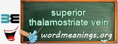 WordMeaning blackboard for superior thalamostriate vein
